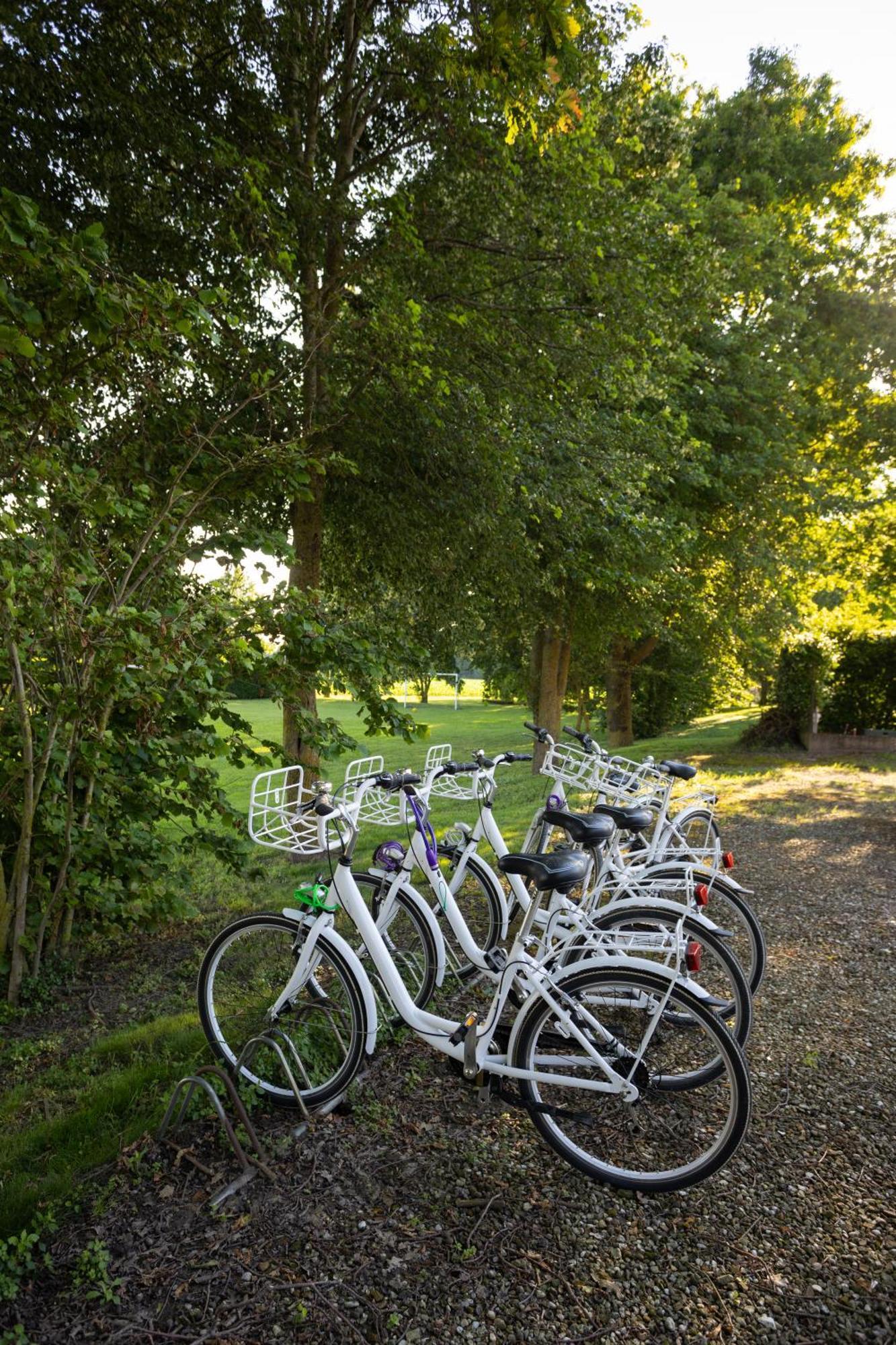 Agriturismo Zennare Villa Chioggia Exterior foto